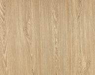 Ель